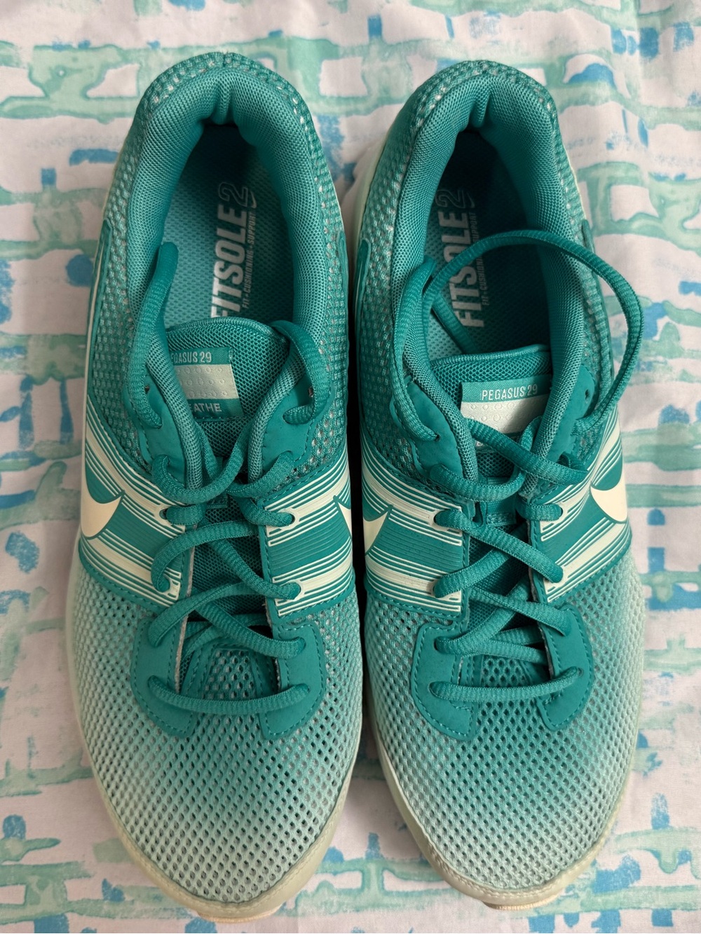Nike Women’s Teal/Aqua Pegasus 29 Running Sneakers